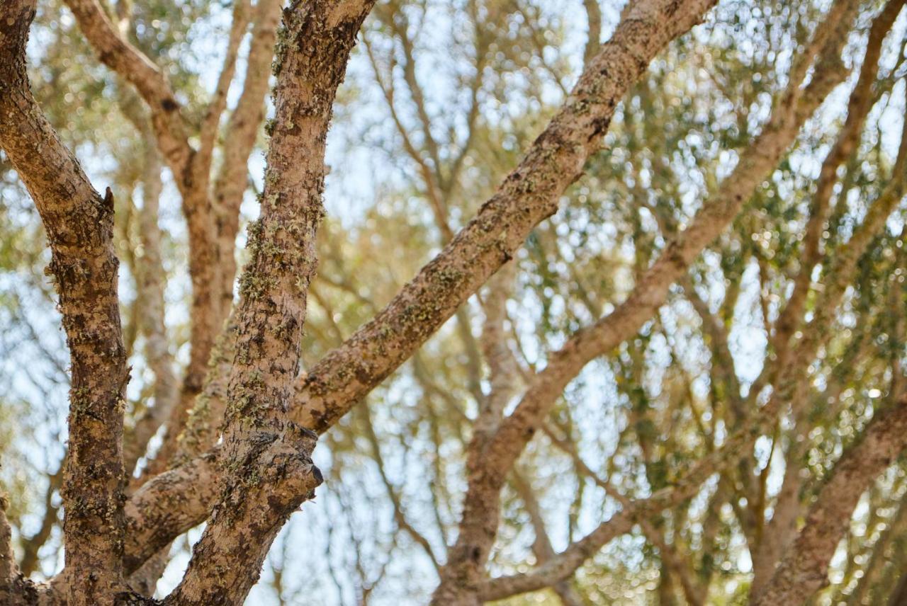 Agroturismo Rafal Rubi Alaior Bagian luar foto